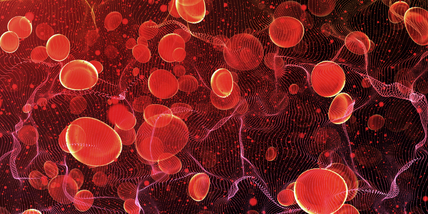 2. Go with the flow! A hands-on approach to discovering blood vessels in the human body image