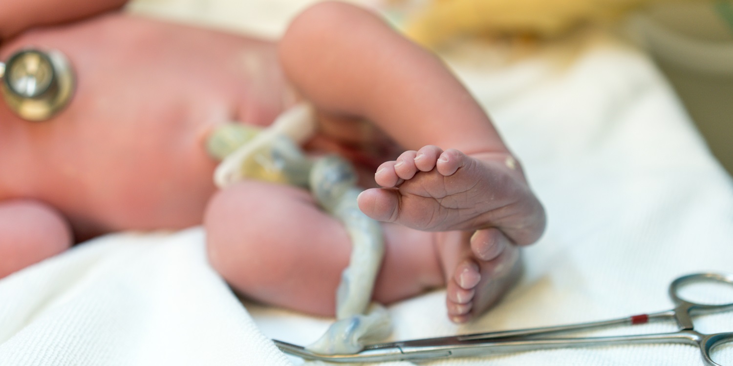 1. Cord Blood Conference 2025 image